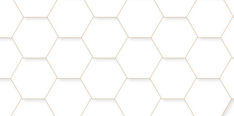 Abstract background with hexagonal geometric hexagon polygonal pattern background. 3d seamless bright white web cell and triangle abstract honeycomb background. white and gray backdrop wallpaper.