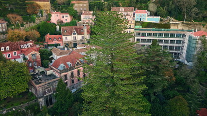 Fototapeta premium Drone picturesque green village at calm evening. Lush greenery surrounding homes