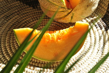 orange melon on a green background