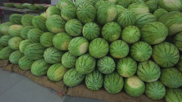 Heap Of Ripe Exotic Indian Watermelon For Sale At The Market. Closeup Panning Shot