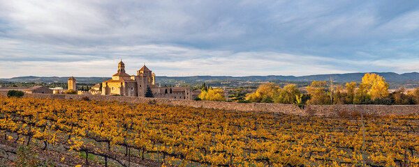 Poblet, Catalunya, Spain: General view of Reial Monestir de Santa Maria de Poblet (Royal Abbey of Santa Maria de Poblet)