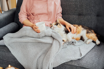 No face woman in plaid drinking hot tea, petting a relaxed cat on the sofa at home. Cozy and...