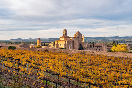 Poblet, Catalunya, Spain: General view of Reial Monestir de Santa Maria de Poblet (Royal Abbey of Santa Maria de Poblet)