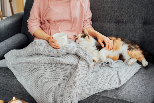 No face woman in plaid drinking hot tea, petting a relaxed cat on the sofa at home. Cozy and comfortable winter or autumn weekend. Pleasant ways to keep warm. Take a break and relax. Selective focus.