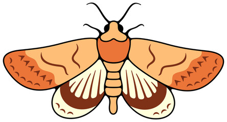 Motley nocturnal moth, butterfly and moth. Flying insects, nature, entomology and entomological, illustration