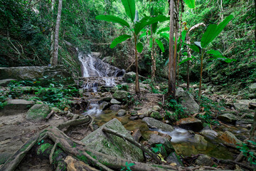 Fototapeta premium Scenic view of waterfall in forest