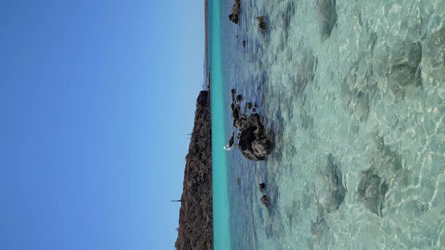 Sea gull standing on a rock surrounded by crystal clear beach water in Isla Coronado, Loreto, BCS, Mexico