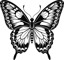 butterfly vector