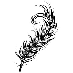 Obraz premium A feather is drawn in black and white