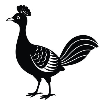 recommend clip art:  Elegant Lyrebird Silhouette Art Design Illustration