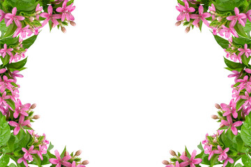 Pink flower frame isolated