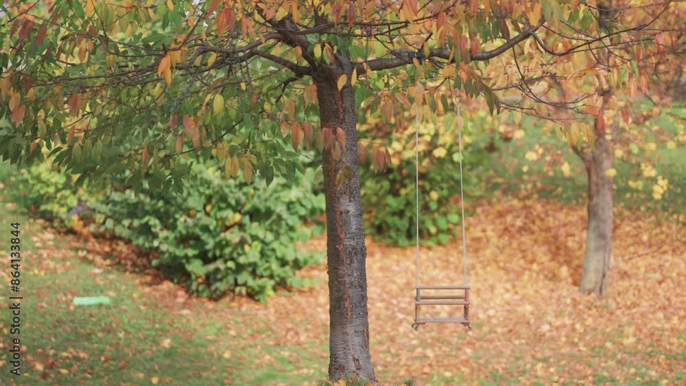 Poster a rustic swing hangs from the sturdy branch of a tree, surrounded by the vibrant colors of an autumn