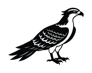 Osprey Bird Silhouette Art Design Illustration