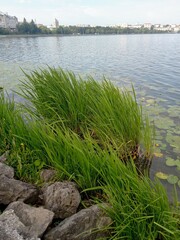 Calm lake above the city on a summer day, blue sky