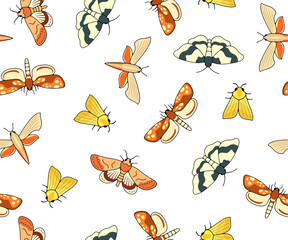 Nocturnal moth, butterflies and moth, seamless background, wallpaper, banner, pattern. Flying insects, nature, entomology and entomological