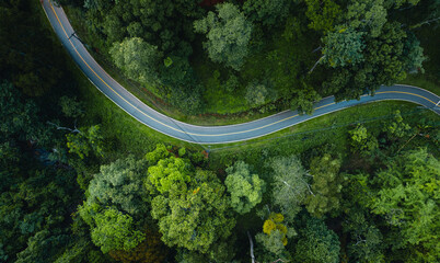 Aerial view  road and green forest,green environment