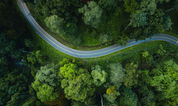 Aerial view  road and green forest,green environment