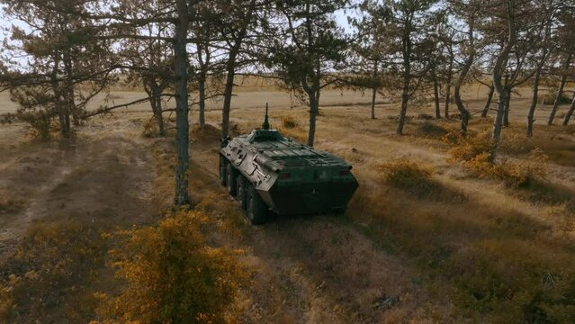 Stealth and Strength: Mechanized Infantry Combat Vehicle Camouflaged in Forest Line. Ukraine 2024.