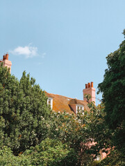 Charming photograph of a quiet neighborhood in Rye, England, capturing the beauty of this historic town. 