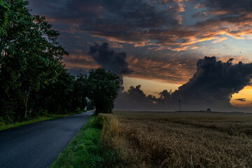 wiatraki , zboże, chmury , niebo © Daniel Folek
