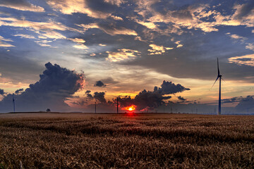 wiatraki , zboże, chmury , niebo © Daniel Folek
