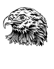 American Eagle Head | Pet Portrait | Patriotic Eagle | American Bald Eagle | Predatory Bird | Hawk | Original Illustration | Vector and Clipart | Cutfifle and Stencil