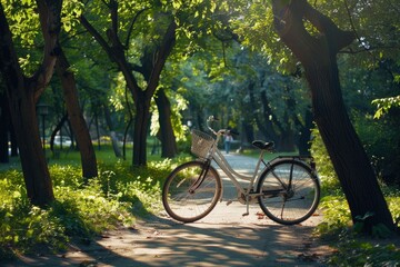 Fototapeta premium Bicycle in shade of trees with dense foliage in sun-drenched urban natural spring summer park