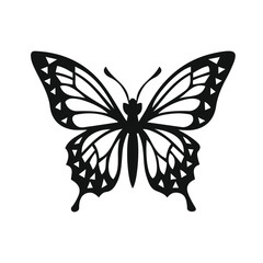 butterfly black and white vector illustration