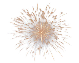 A vibrant explosion of colors illuminating the dark night sky, showcasing a dazzling fireworks display