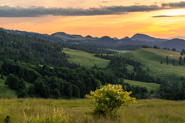 Obraz premium Pieniny , Tatry , Karpaty, góry