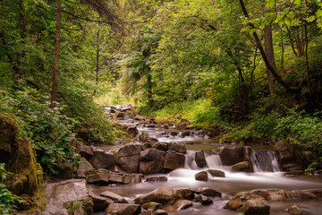Pieniny , Tatry ,Słowacja, Karpaty , góry , Szczawnica, wodospad © Daniel Folek