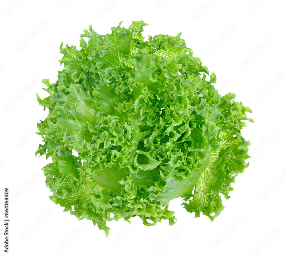 Wall mural lettuce transparent png