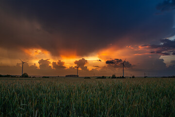 wiatraki , zboże, chmury , niebo © Daniel Folek
