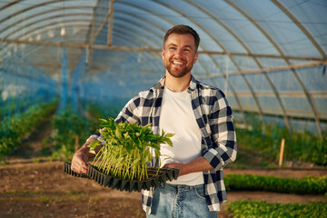 Many of the plants in hands. Man is working in the greenhouse
