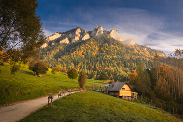 Fototapety na wymiar - Fototapeta24.pl