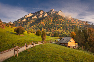 Autumn in Pieniny during the golden hour: the sun's warm light casts a golden glow over the vibrant foliage. The trees display a mix of red, orange, and yellow leaves, contrasting with the deep green 