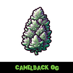  Vector Illustrated Camelback OG Cannabis Bud Strain Cartoon