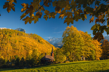 Autumn view of the Tatras in Slovakia: golden, red, and orange leaves on trees surround majestic mountains with snow-capped peaks. Clear, blue sky contrasts with the warm colors of the forest. 