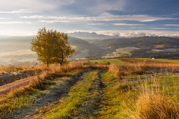 A beautiful autumn landscape of the Tatra Mountains seen from Polish Podhale during the golden hour. The sky is painted in warm hues, with the mountains bathed in golden light.