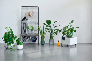 Grey stone wall background and botanic vase of plant flower, home accessory lamp and chair decor. Interior room concept. Window reflection detail.
