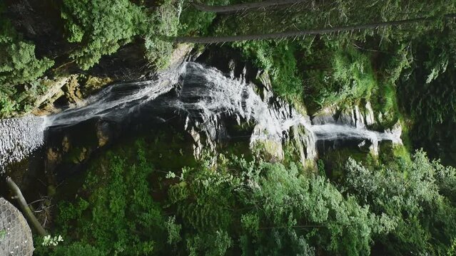 leśne wodospady w słoneczny letni dzień