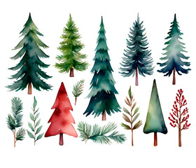 Obraz premium A watercolor illustration depicting various fir trees in different shades of green. A large set of illustrations of Christmas trees. Christmas tree.