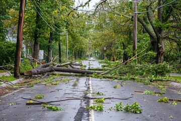 Downed Trees After Natural Disaster Wind Storm: Blocked Road with Fallen Trees and Damaged Power Lines