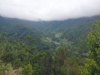 Obraz premium madeira island, nature, background, outdoor, green, mountain, plants, day, tourism, portugal, travel,