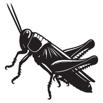 black grasshopper insect isolated clip art preview