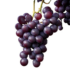 Fototapeta premium A bunch of red grapes isolated against a white background, showcasing their plump, juicy appearance by copyspace.