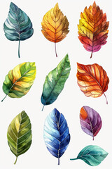 Obraz premium Vibrant watercolor tropical leaves set perfect for greeting cards & wedding invitations. Includes transparent background & mock-ups.