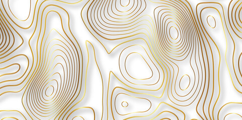 Abstract white colorful golden Topographic line map background. Contour elevation topographic and textured Background Modern design with White background with topographic wavy pate for decoration.