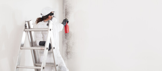 Professional mold removal service: worker on ladder wearing protective suit, spraying product to...