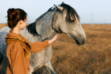 tranquil moment young woman petting horse in sunlit field at sunset